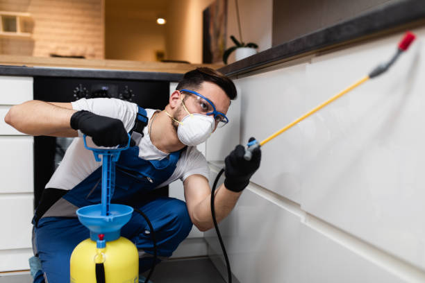 Best Affordable Pest Control Services  in Iron River, MI