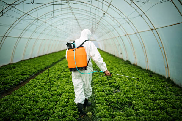 Best Residential Pest Control  in Iron River, MI