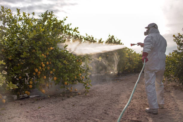 Best Emergency Pest Control  in Iron River, MI