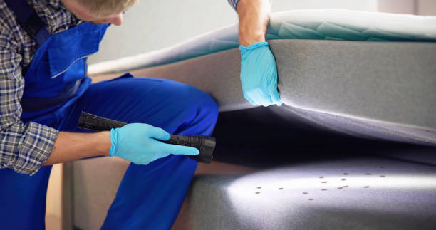 Best Pest Removal Services  in Iron River, MI
