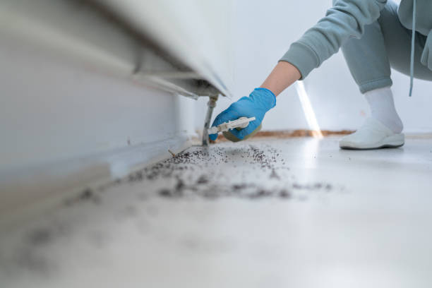 Best Mosquito Control Services  in Iron River, MI