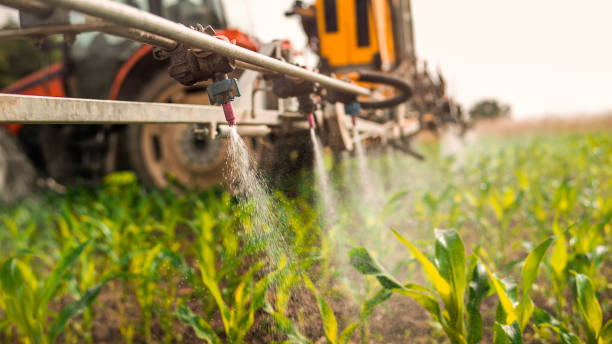 Best Commercial Pest Control Services  in Iron River, MI